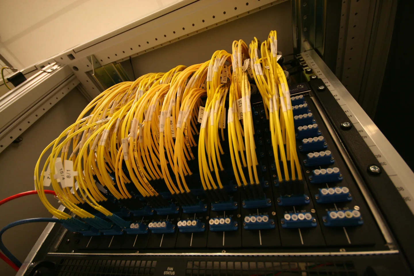 Labelled fibre patch cords on an optical patch panel at AMS-IX in Amsterdam